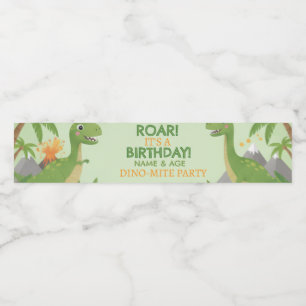 Etiquetas de Botella de Agua para Cumpleaños Dino-