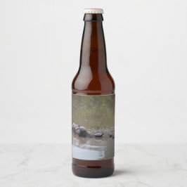 Etiquetas de botella de tortuga