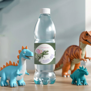 Etiquetas de botellas de agua de dinosaurio para C