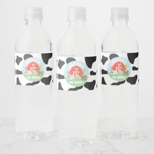 Etiquetas de botellas de agua para fiesta de cumpl