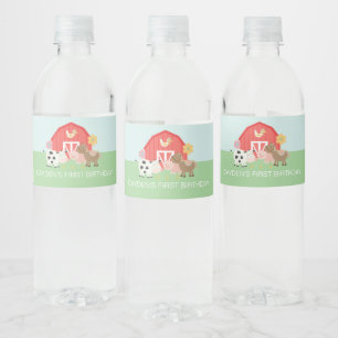 Etiquetas de botellas de agua para fiesta de cumpl