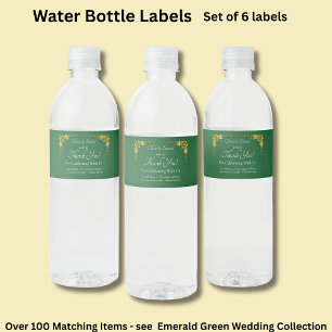 Etiquetas de Botellas de Vino Burbujeante, Verde E