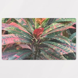 ETIQUETAS DE CÍRCULO