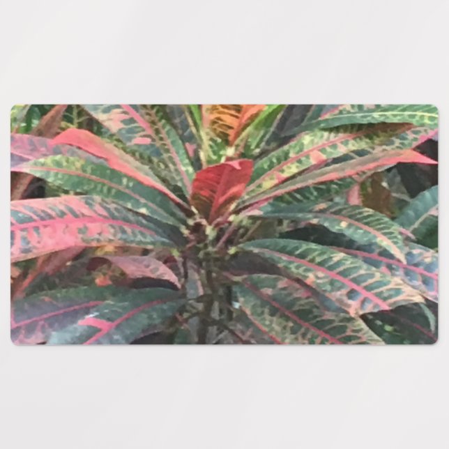 ETIQUETAS DE CÍRCULO (Diseño 3)