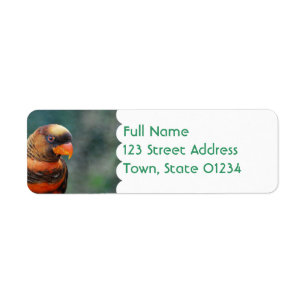 Etiquetas de correo anaranjadas de Lorikeet