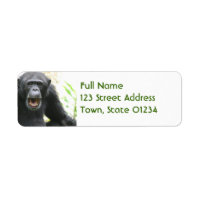 Etiquetas de correo Chatty Chimpanzee