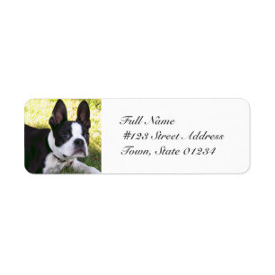 Etiquetas de correo de la pluma de Boston Terrier
