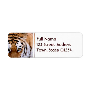 Etiquetas de correo de las marcas del tigre