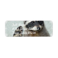 Etiquetas de correo de Raccoon aniladas