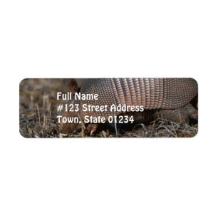 Etiquetas de correo del hábitat del armadillo