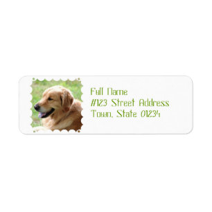 Etiquetas de correo del perrito del golden