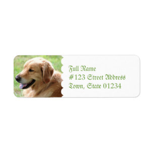 Etiquetas de correo del remite del perrito del