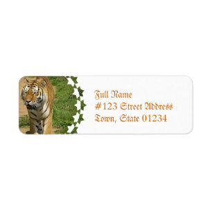 Etiquetas de correo del vagabundeo del tigre