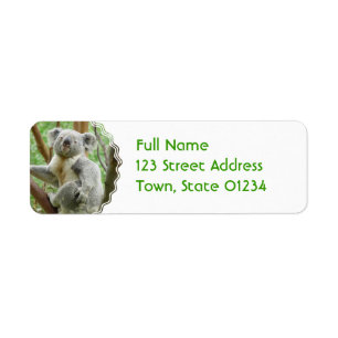 Etiquetas de correo Fluffy Koala