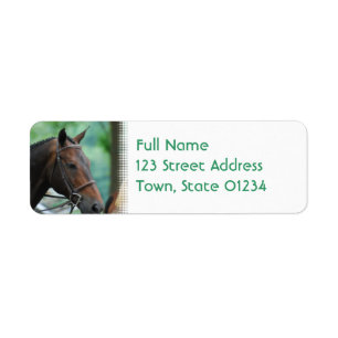 Etiquetas de correo magníficas del caballo de