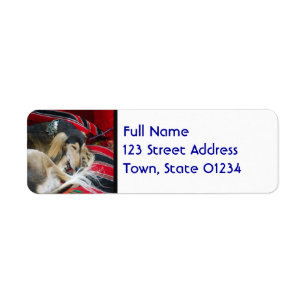 Etiquetas de correo Saluki
