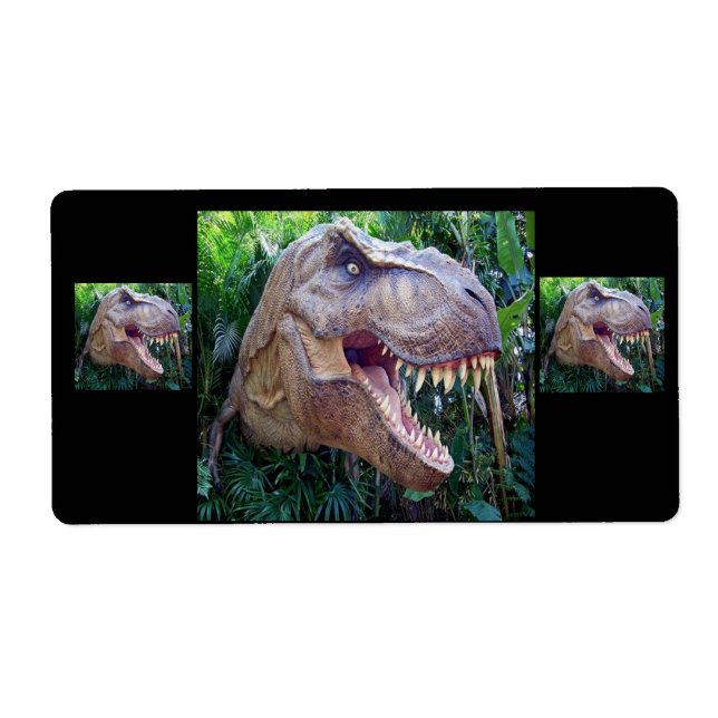 Etiquetas de dinosaurios para niños (Frente)