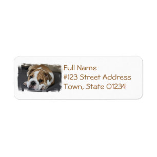 Etiquetas de dirección de Bulldog durmiente