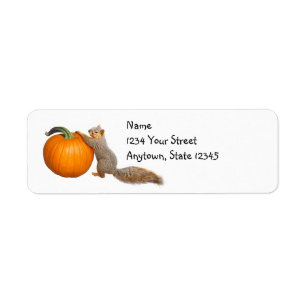 Etiquetas de dirección de calabaza de ardilla de o
