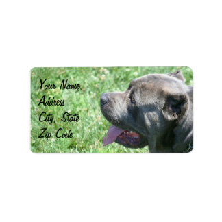 Etiquetas de dirección de cane corso