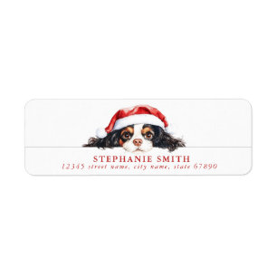 Etiquetas de dirección de Cavalier King Charles Sp