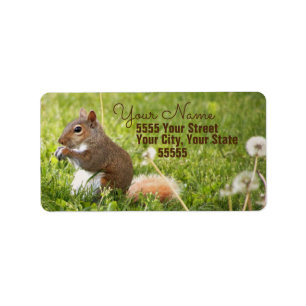 Etiquetas de dirección de devolución de ardilla pa