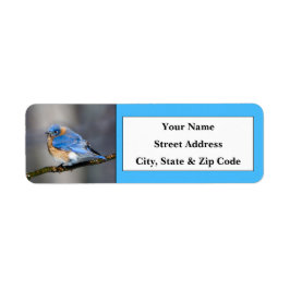 Etiquetas de dirección de devolución de aves azule