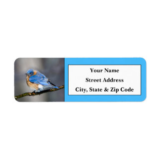 Etiquetas de dirección de devolución de aves azule