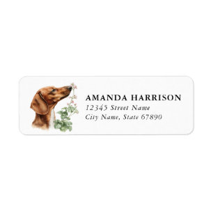 Etiquetas de dirección de devolución de Dachshund