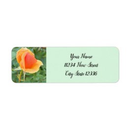 Etiquetas de dirección de devolución de foto de Ro