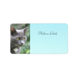 Etiquetas de dirección de gato Kitty