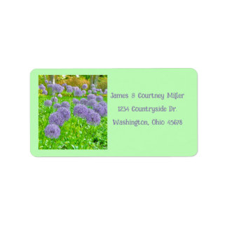 Etiquetas de dirección de jardín de Allium púrpura