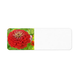 Etiquetas de dirección de Red Zinnia
