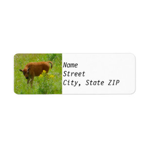 Etiquetas de dirección de retorno - Bison Calf Yel