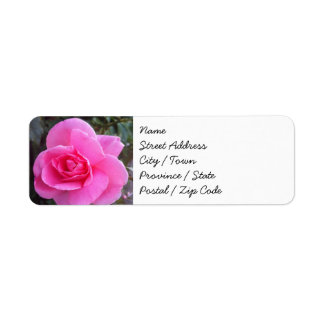 Etiquetas de dirección de retorno - Rosa rosa