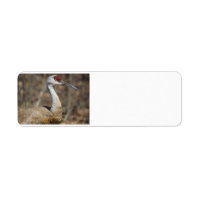 Etiquetas de dirección de Sandhill Crane