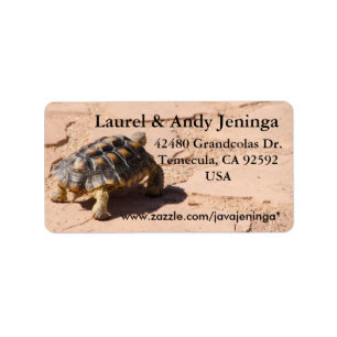 Etiquetas de dirección de Tortoise del desierto