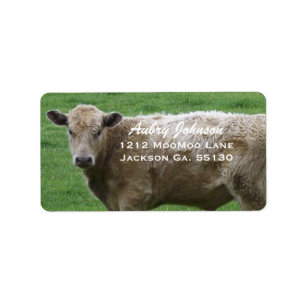Etiquetas de dirección de vaca