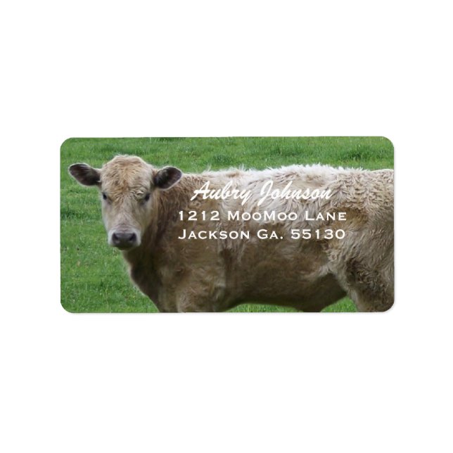 Etiquetas de dirección de vaca (Frente)