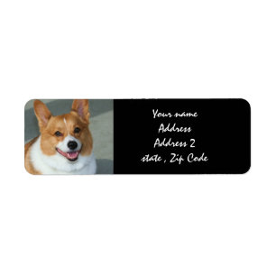 Etiquetas de dirección del Corgi Galés