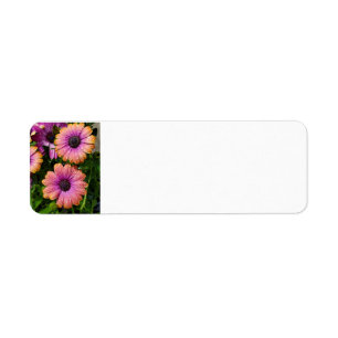 Etiquetas de dirección del jardín de verano