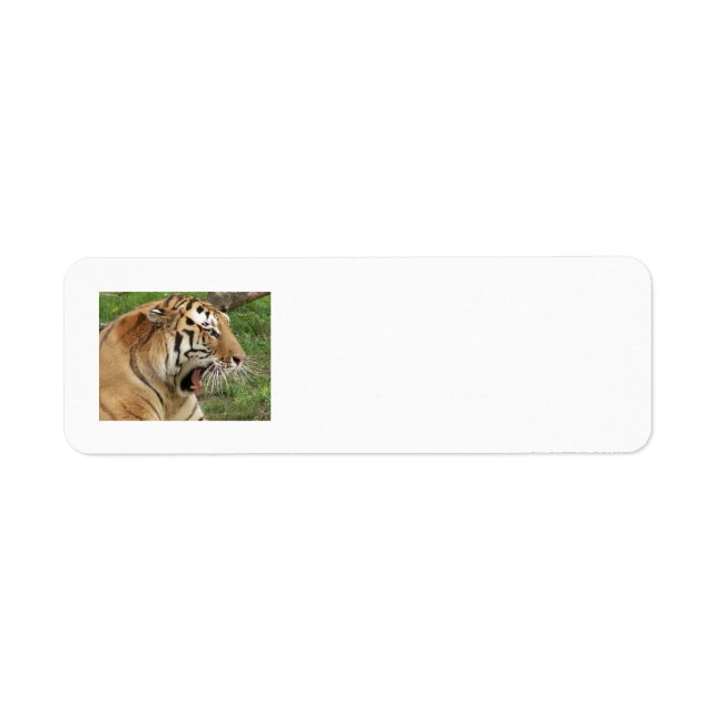 Etiquetas de dirección del tigre (Frente)