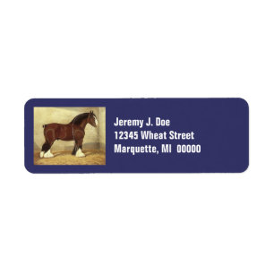 Etiquetas de dirección justas del caballo de
