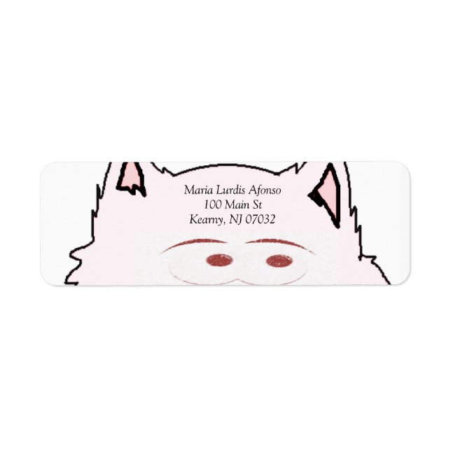 Etiquetas de direcciones (Frente)