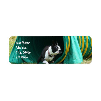 Etiquetas de direcciones de Agility Boston Terrier