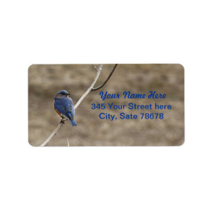 Etiquetas de direcciones de Bluebird