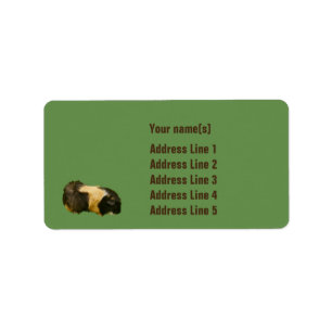 Etiquetas de direcciones de cerdo de Guinea person