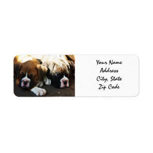 Etiquetas de direcciones de los cachorros de Boxer