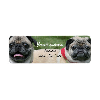 Etiquetas de direcciones de perros de pug