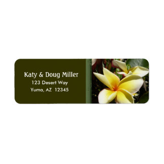 Etiquetas de direcciones de plumeria crema y amari